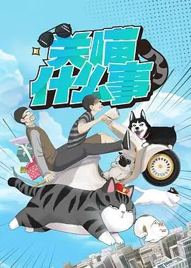 关喵事物的奇妙冒险：一部融合搞笑与情感的重生故事，探索人与动物的奇幻羁绊