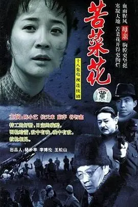 《苦菜花》2004：时代洪流下的农村女性群像，那份坚韧与牺牲看得人心酸！
